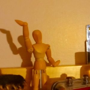 Meet your Posher, Anna